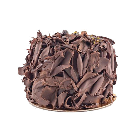 Premium Chocolate forest Cake